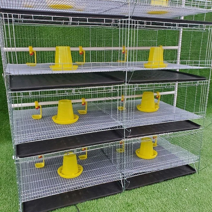 4 Levels 2 Doors Chicken Broiler Cage